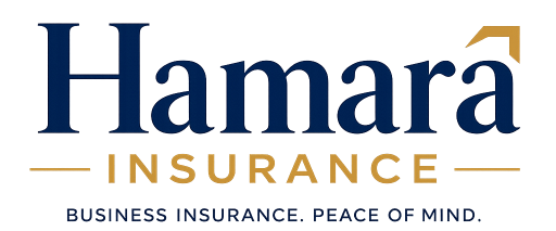 Hamara Insurance